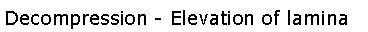 Text Box: Decompression - Elevation of lamina