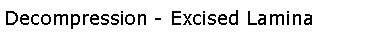 Text Box: Decompression - Excised Lamina